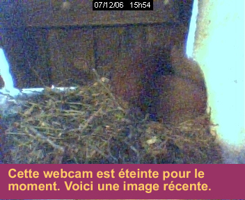 le nid de l'oratoire